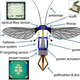 Illustration for article titled Swarms of robotic bees could pollinate the flowers of the future